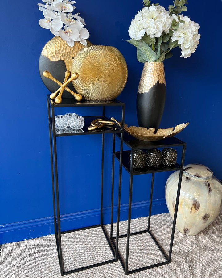 Tall Matt Black and Glass Plant Stand