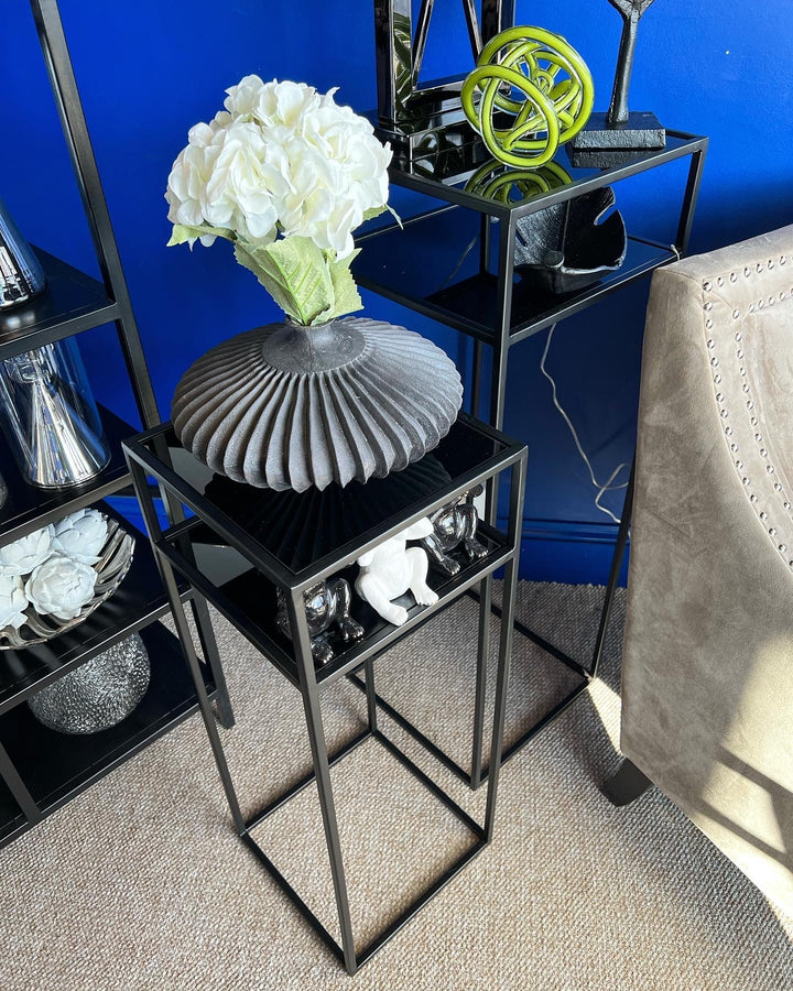 Tall Matt Black and Glass Plant Stand