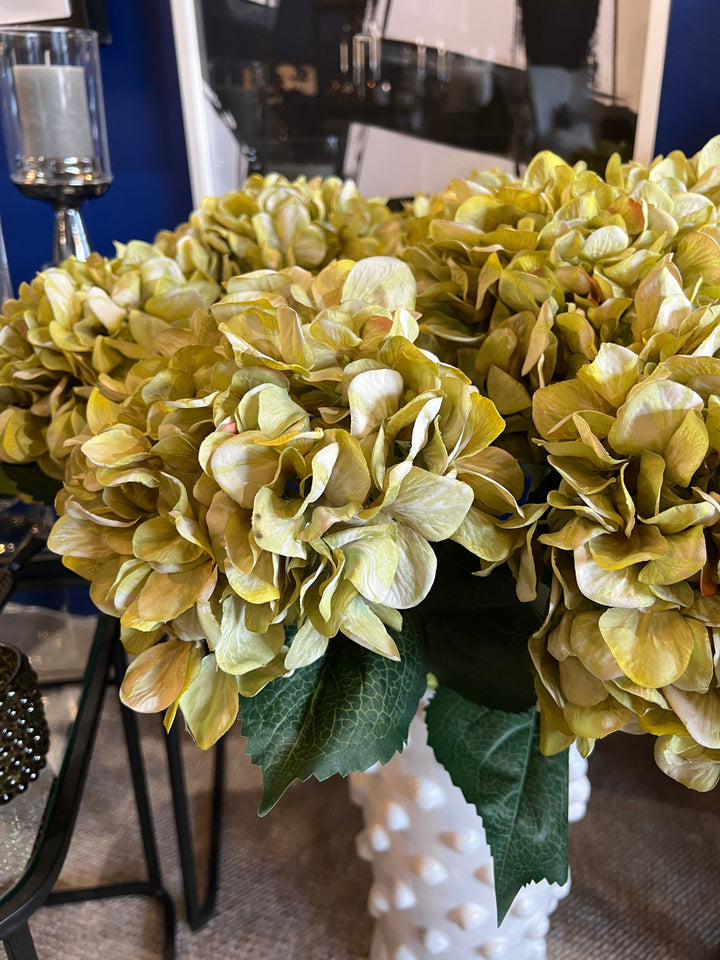 Antique Green Hydrangea