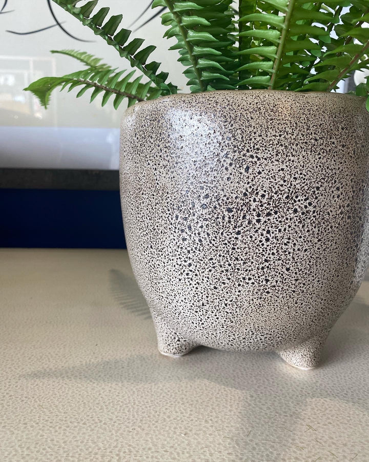 Large Natural Speckled Planter