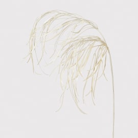 Pearl Grass Spray