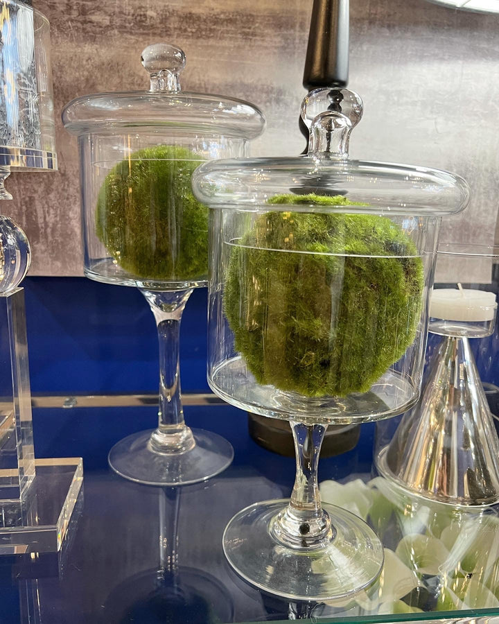 Tall Glass Jar with Lid