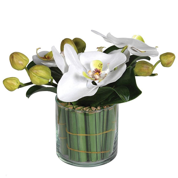 White Orchid in a Glass